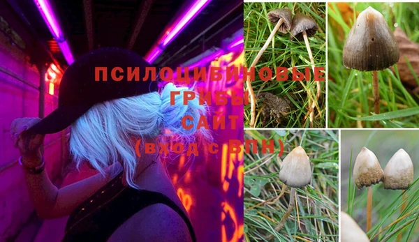 mix Нея