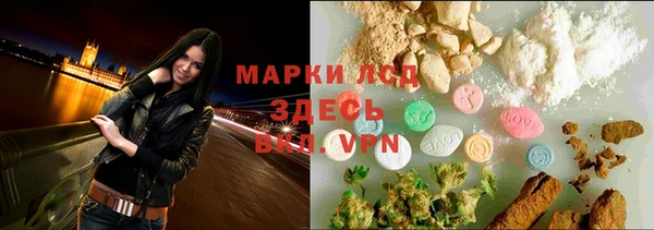 амф Ветлуга